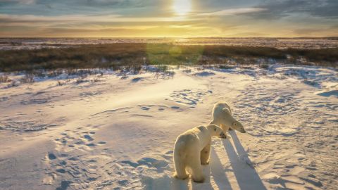 Underlined Churchill Manitoba Canada