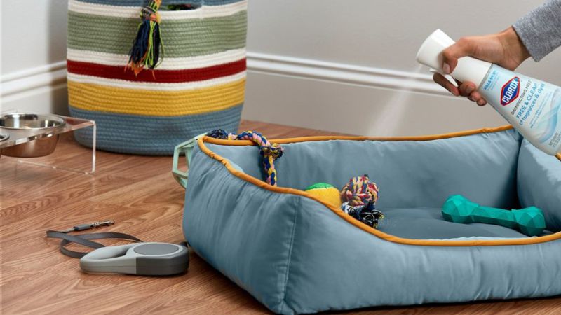 Pet Care & Supplies, Home Accessories