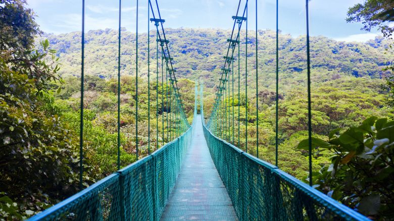 underscored costa rica jungle rainforest