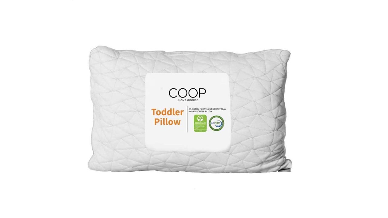 underscored evamendestravel Coop Home Goods Toddler Pillow