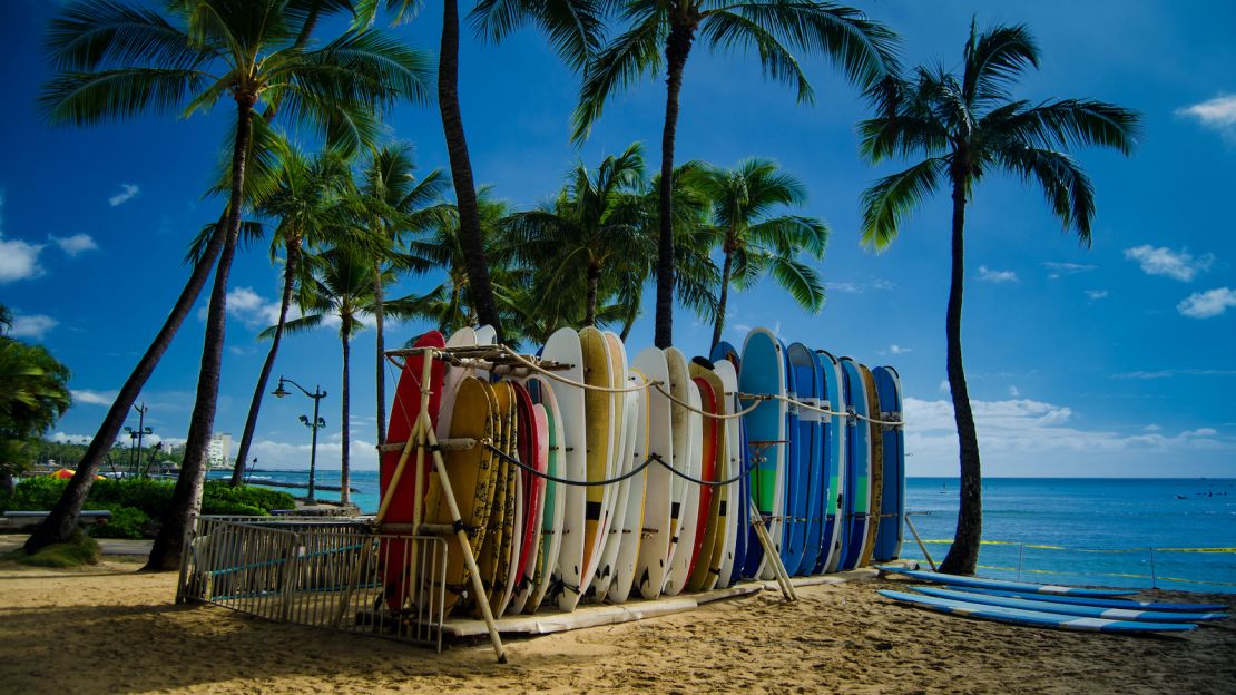 underscored hawaii surfing