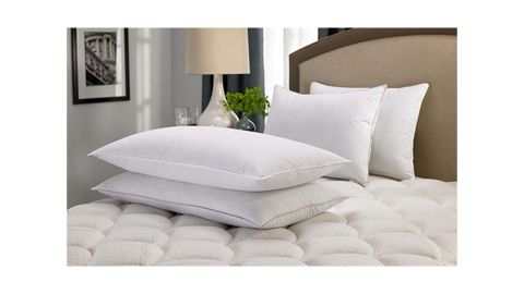 Hilton Feather & Down Pillow