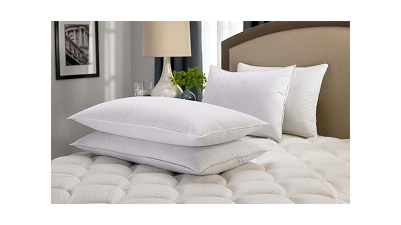 East Coast Bedding 25/75 Gray Duck Down Feather Pillow Filling