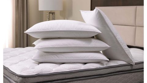 Sonesta feather and feather pillow