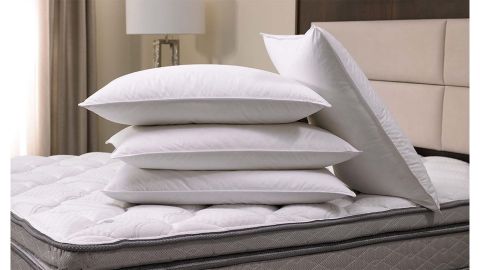 Sonesta Down Pillow