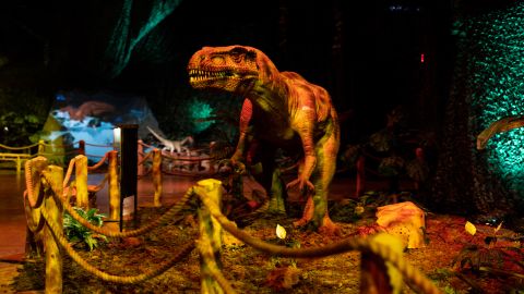 Dinos Alive Exhibit: An Immersive Experience