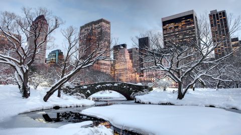 underscored-new-york-winter