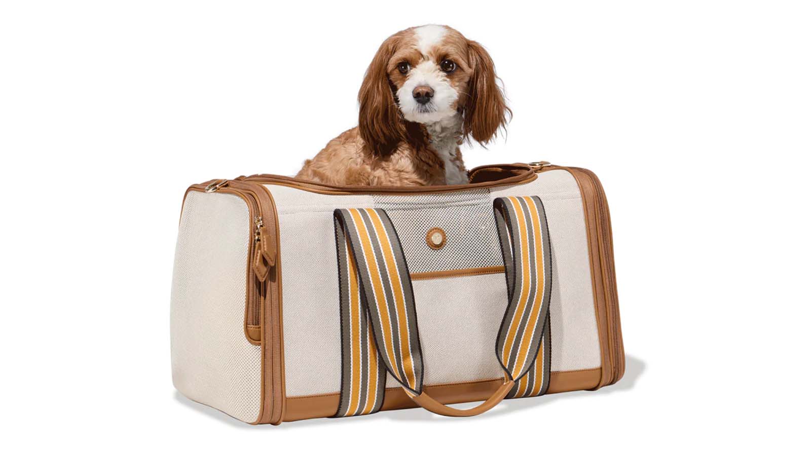 250 Best Dog carrier purse travel bags ideas in 2023  dog carrier purse,  luxury pet carrier, dog travel bag