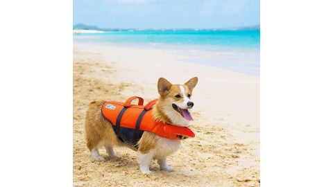 Outward Hound Granby Splash Orange Dog Life Jacket