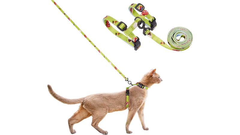 Best cat 2024 harness for traveling