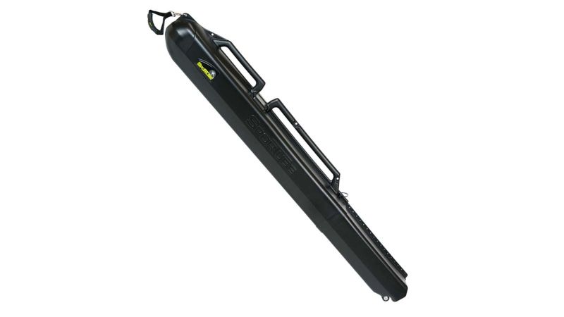 Ski cheap travel case