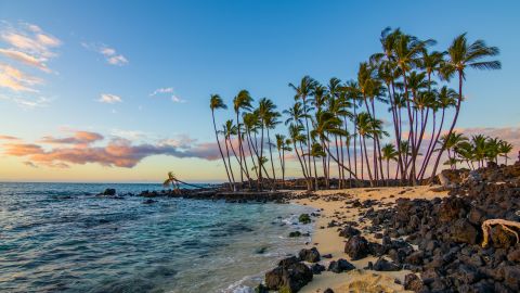 underscored spend aadvantage miles hawaii lead