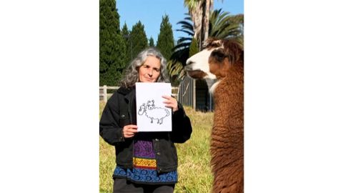 Meet and Draw a llama