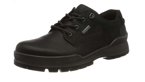 Ecco Walking Hiking Shoe