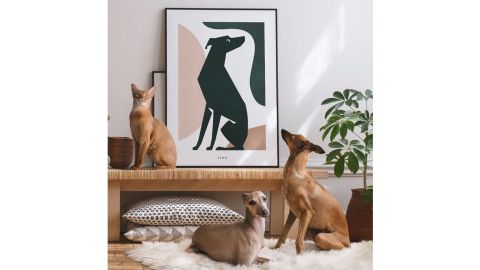 Animalist Custom Animal Form Poster