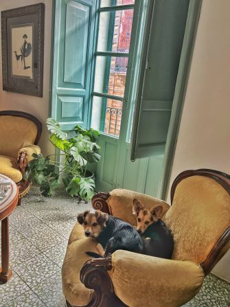 <strong>Settling in: </strong>Randy and Steve, who've adopted two dogs, Mimi and Lola, since moving, say that they’ve spent around 190,000 euros (around $205,000) on renovation work so far and recently purchased a nearby apartment, which they plan to convert into a guest apartment.