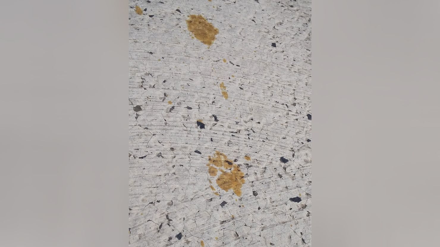 Footprints believed to be from a cat that fell into a tank containing toxic hexavalent chromium at the plating factory in Fukuyama, Hiroshima prefecture.