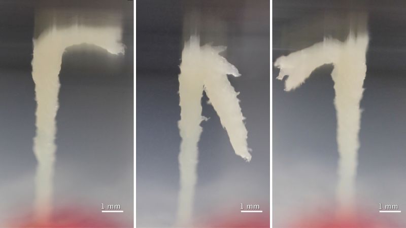 https://media.cnn.com/api/v1/images/stellar/prod/untitled-1-20250603175615885.jpg?c=16x9&q=w_800,c_fill