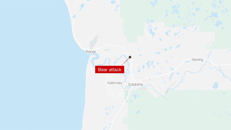 Alaska woman seriously injured in bear attack while jogging near her home