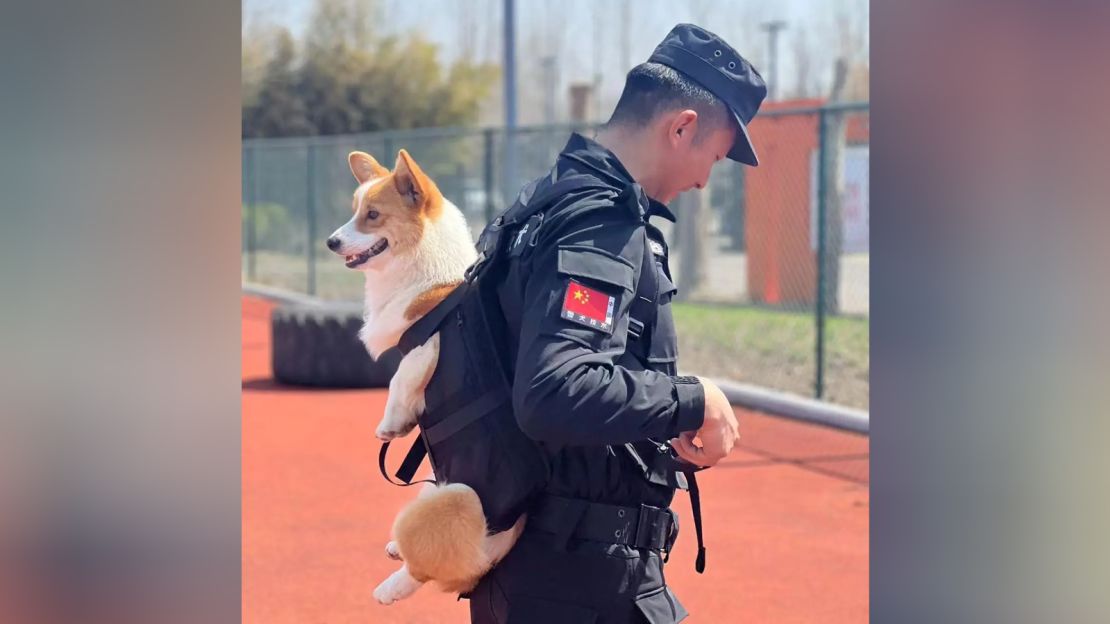 Fuzai is a reserve police dog and started training when he was two months old, according to state media.
