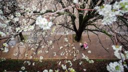 Warming temperatures mean trees bloom earlier, pollen season lasts longer, and pollen grains are more likely to make you sick