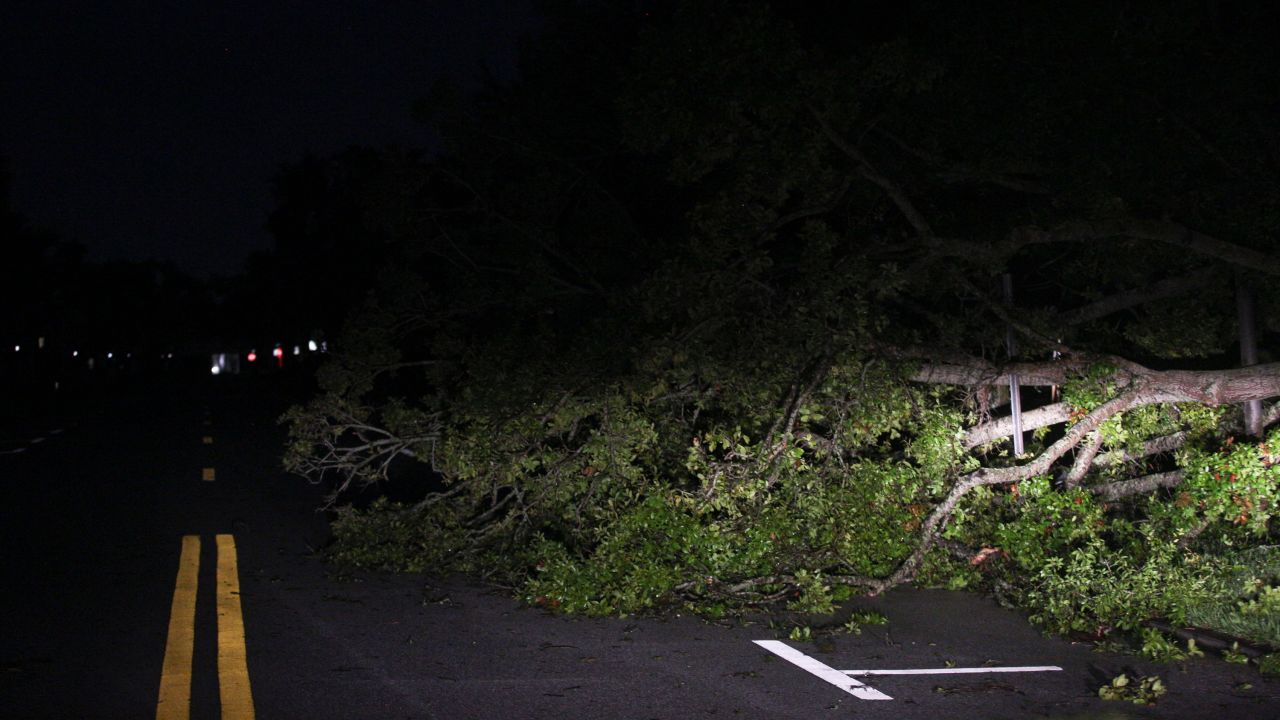 Crews work to remove debris from downed trees blocking roads in downtown Vero Beach, on Wednesday.