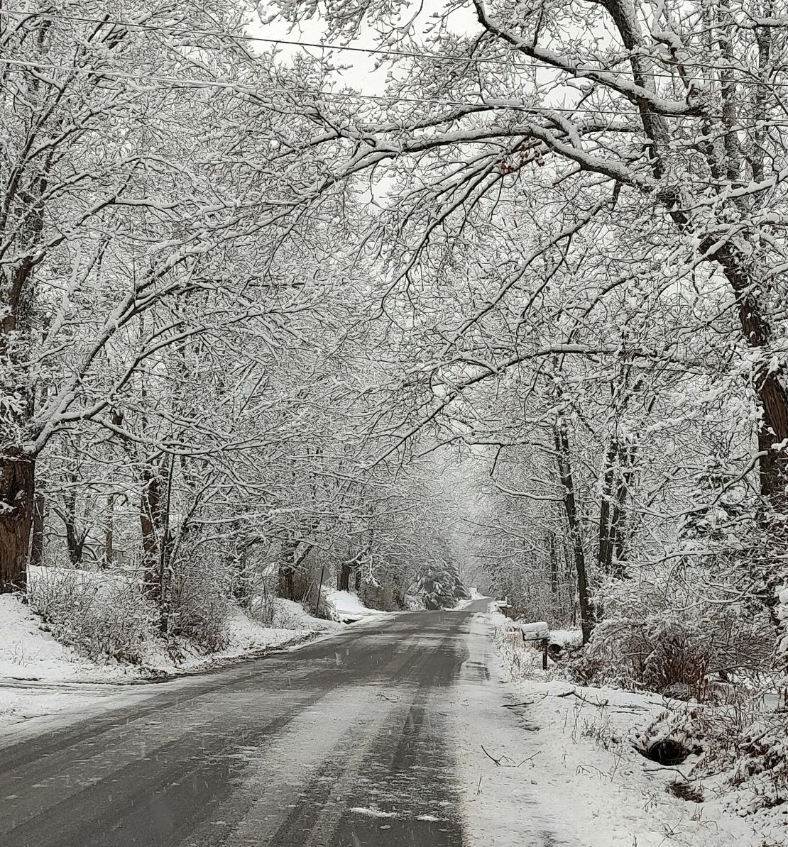 Snow covers the landscape on an Allegany County road in the Town of Wellsville, New York, on Friday, November 29.