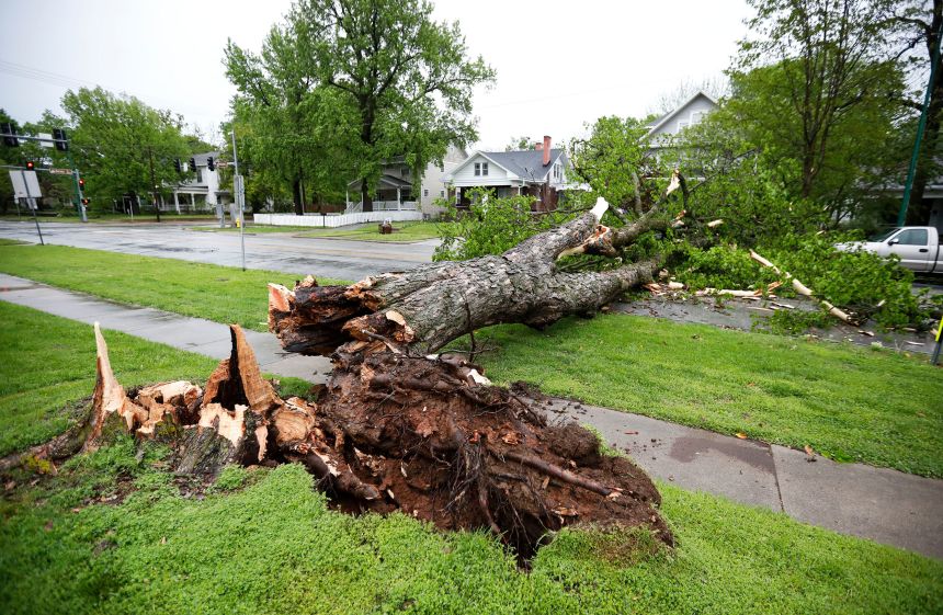 A downed tree blocks a road in Springfield, Missouri, after powerful storms roared through the area on Tuesday.