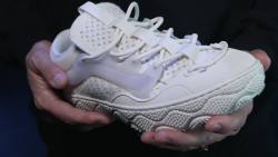 Vans shoe 2.png