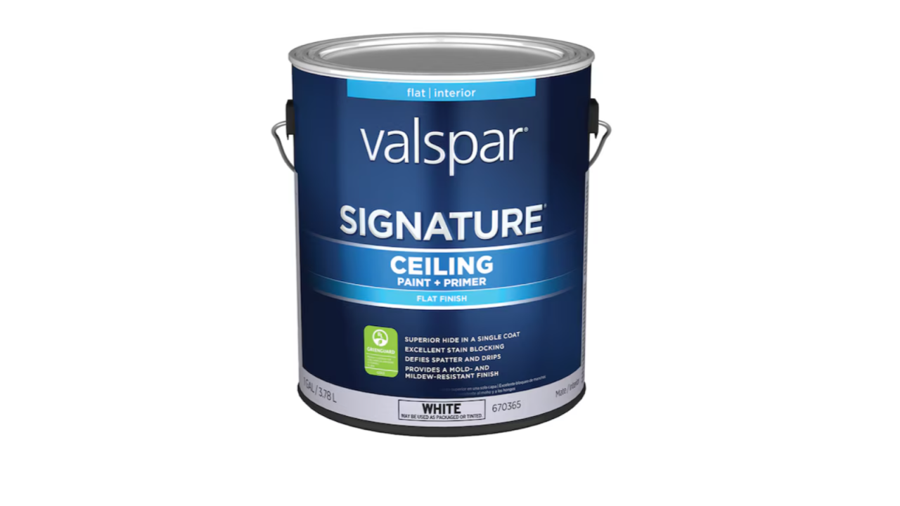 vaspar paint.png