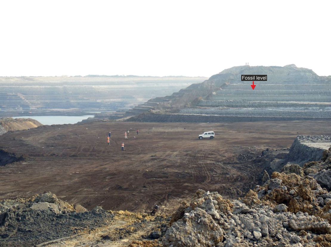 A panoramic view of Panandhro Lignite Mine, in western India's Gujarat state, shows the fossiliferous level (red arrow) where the giant snake Vasuki indicus was found.