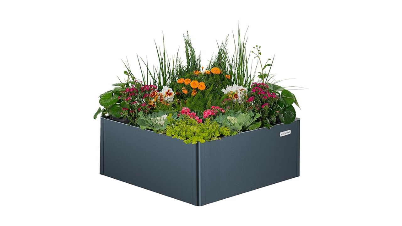 Vego Garden Modern Raised Garden Bed.jpg