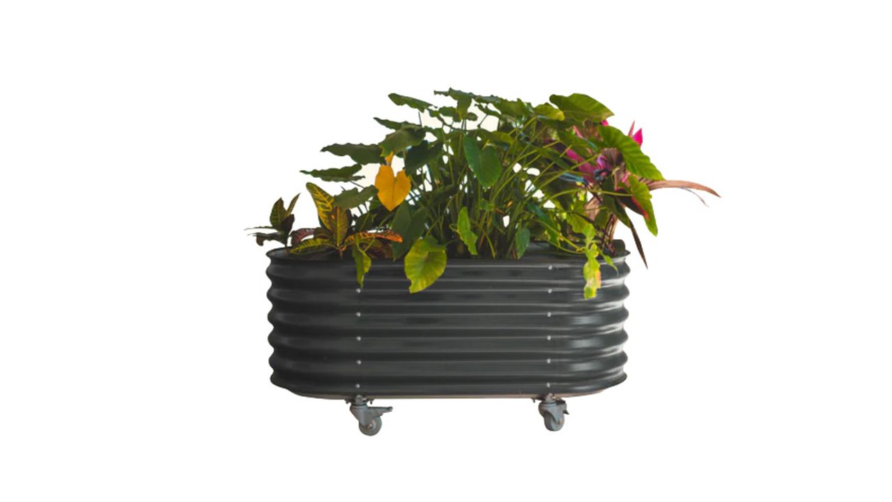 vego garden rolling garden bed cnnu.jpg