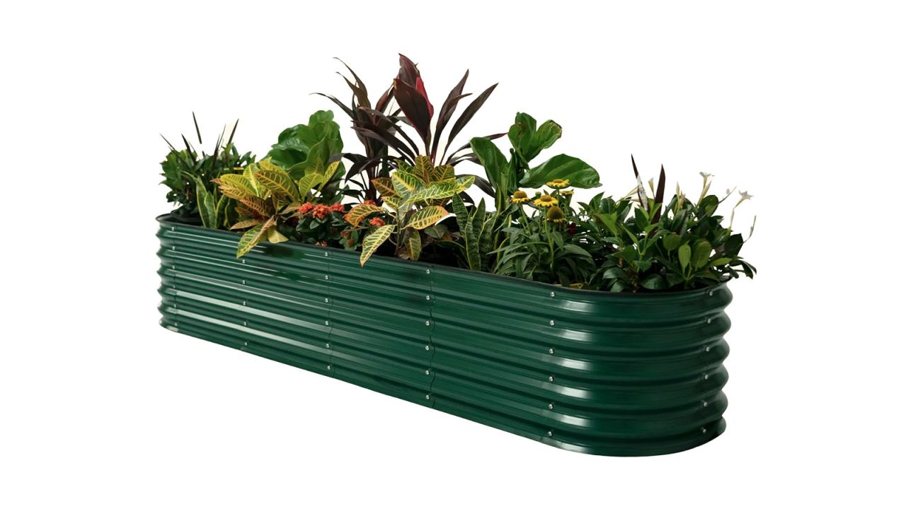 vego garden self watering bed cnnu.jpg