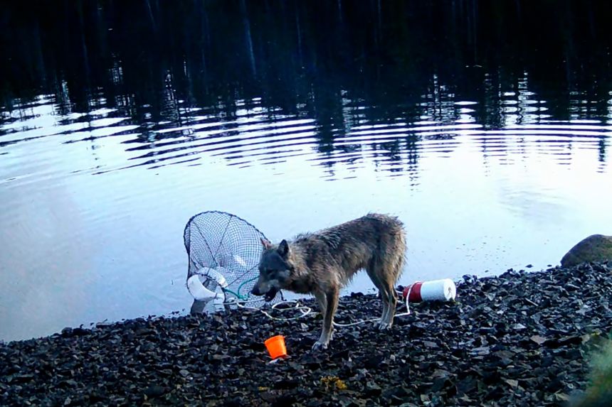 The new study, which spawned from a <a href=