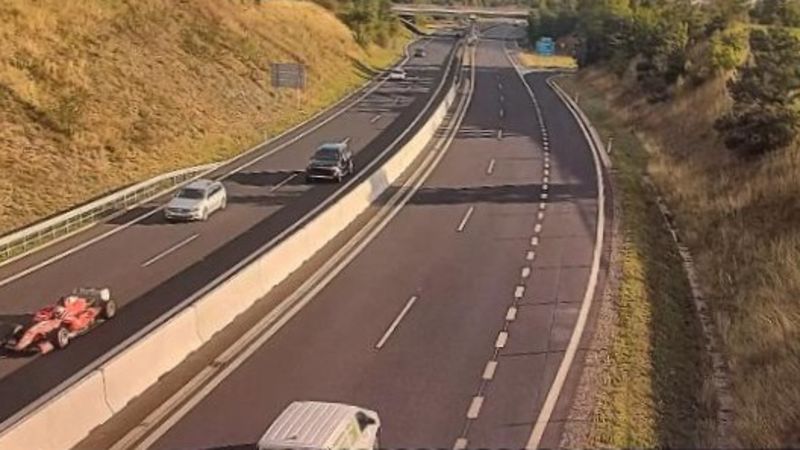 Link копира Това беше бърза и яростна игра на котка