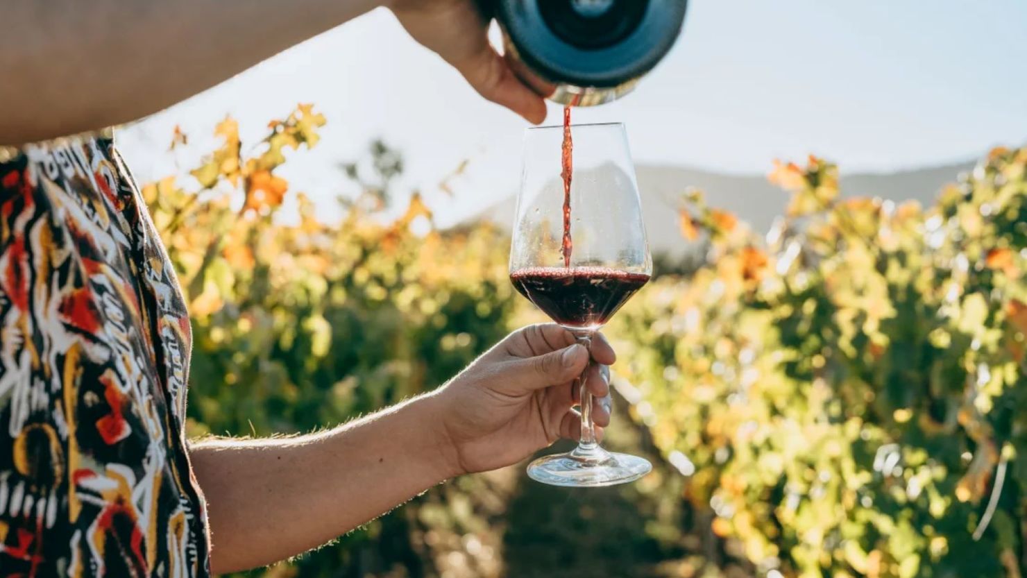 Una verdadera porción de vino son solo 4 onzas, según la mayoría de las pautas. Los expertos dicen que muchas personas sobreestiman lo poco que es esa cantidad.