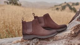 chocolate brown chelsea boot resting on tree in field