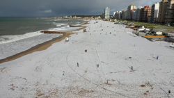 VO NIEVE MIRAMAR.jpg