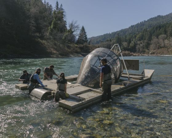 Earth Photo’s New Scientist Editors Award went to Vivian Wan for her series documenting conservation along the Trinity River, the largest tributary of the Klamath River, in California. Here, as part of the Yurok Tribal Fisheries Program, tribal members and biologists install rotary screw traps, specialized devices used to catch live fish to monitor disease and track migration patterns.