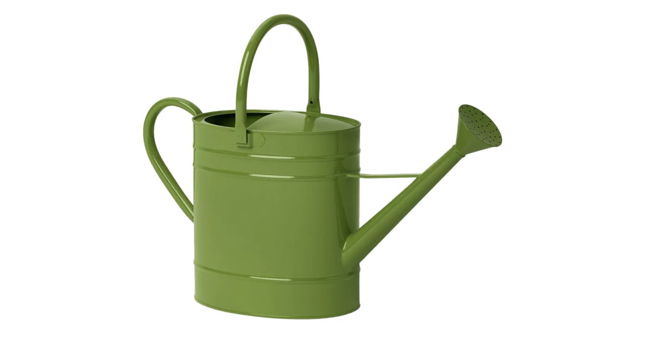 watering can.jpg