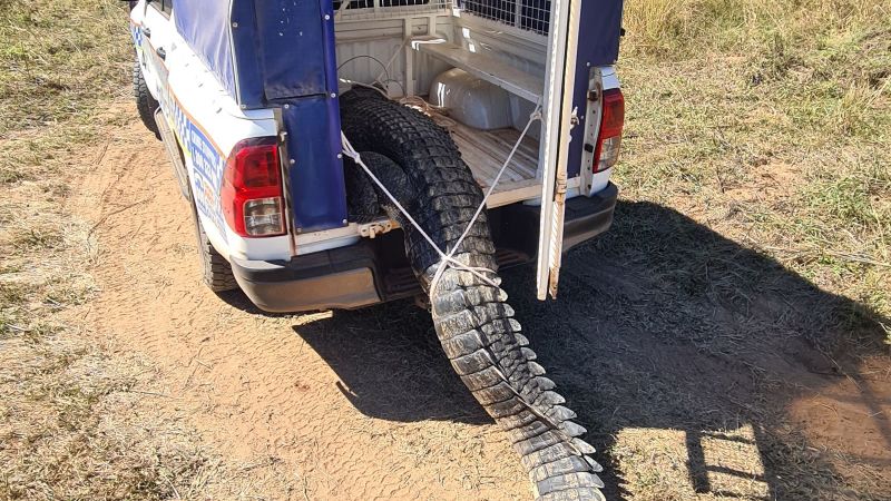 A crocodile was terrorizing this Australian town. So residents cooked and ate it | CNN