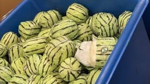 CBP officers found 4587 pounds of meth in shipment of disguised watermelons