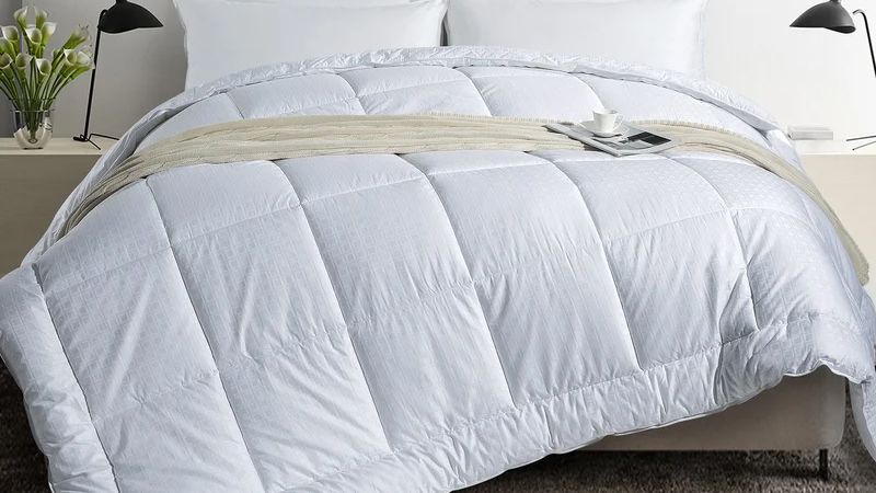 Wayfair twin on sale comforter sets