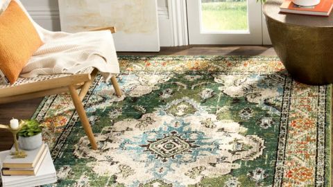 wayfair Mistana Indira Performance Rug cnnu.jpg