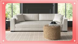 wayfair presidents day 2025 lead.jpg