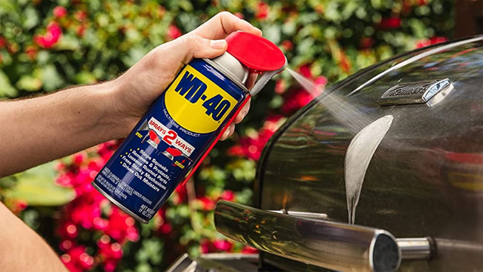 How to clean an oven inside out - WD40 India