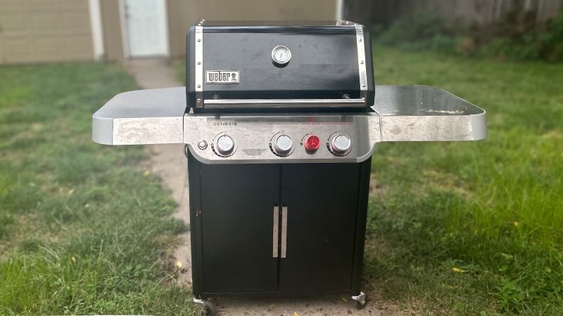 Weber e320 cheap genesis