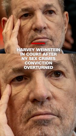 Weinstein court vrtc thumb.jpg