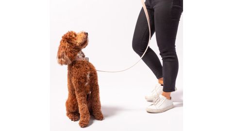 Vegan Leather Leash and Collar Set
